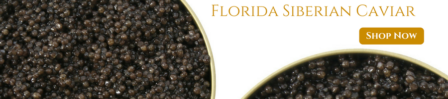 Florida Siberian Caviar