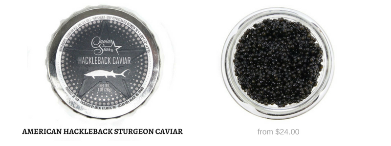 American Hackleback Sturgeon Caviar in Stock
