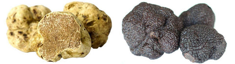 What do truffles taste like?