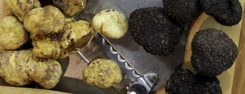 Differences Between Black and White Truffles