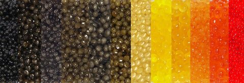 various colors of caviar cropped together in one photo