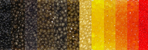 various colors of caviar cropped together in one photo