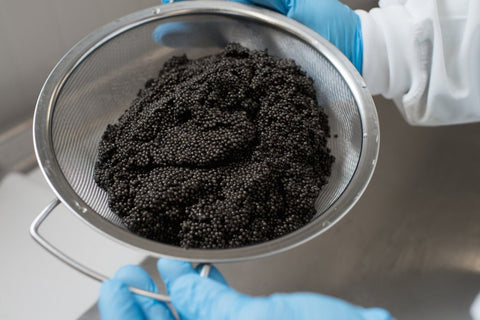 Where is the Best Place to Buy Caviar?