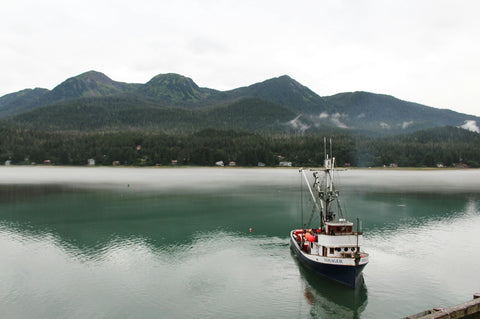 Where’s the Salmon Roe? Inside the Looming 2026 Supply Shortage