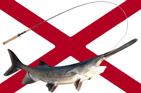 Alabama Suspends Commercial Paddlefish Fishing