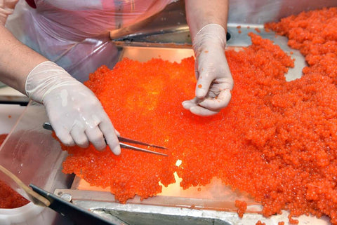 person wearing gloves and apron picking through salmon caviar