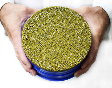 Do we still get Caviar From Russia? | Russian Caviar in America