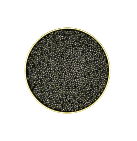 American Paddlefish Caviar