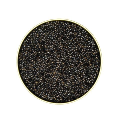 Lyna Polska Siberian Baerii Caviar