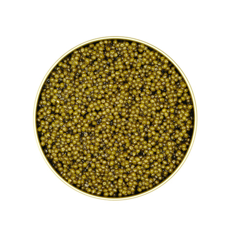 Dynasty Golden Imperial Osetra Caviar