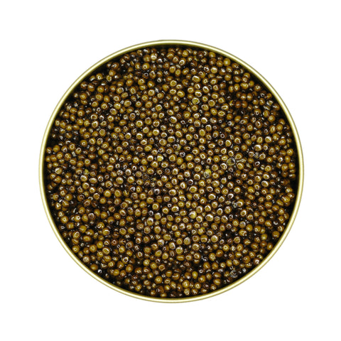 Premier Kaluga Hybrid Caviar