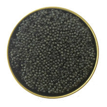 Giaveri Beluga x Siberian Hybrid Caviar