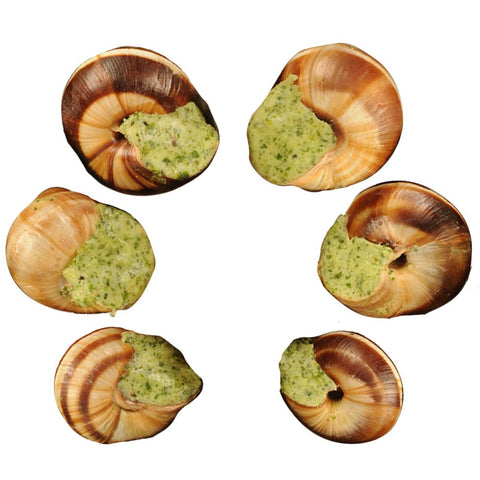 Escargot Snail Shells (12 count)