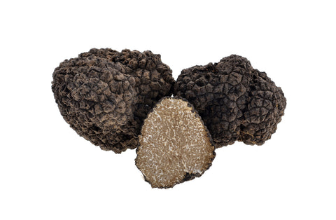 Fresh Black Burgundy Truffles