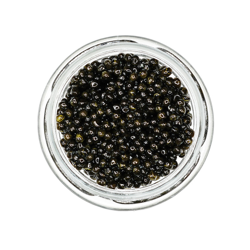 Classic American White Sturgeon Caviar