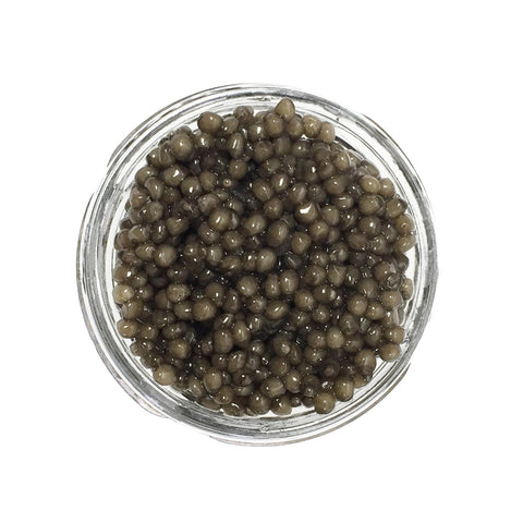 Dieckmann Hansen Reserve German Osetra Caviar