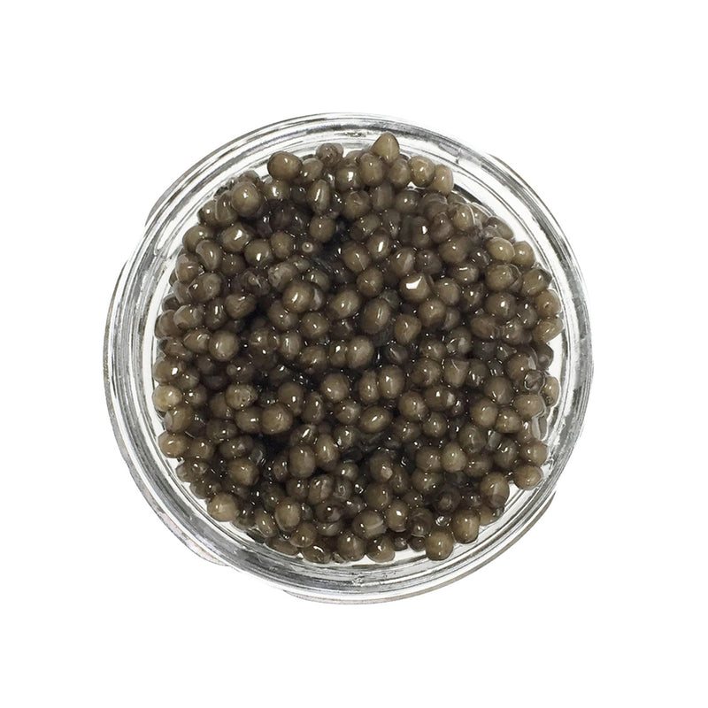 Dieckmann Hansen Reserve Osetra Caviar