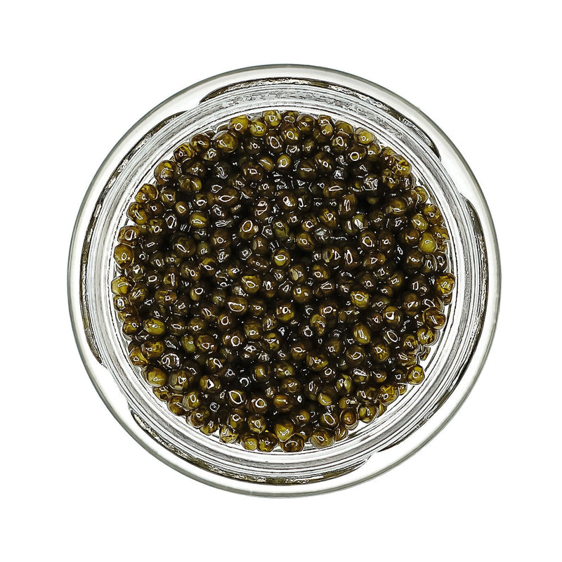 Royal California White Sturgeon Caviar