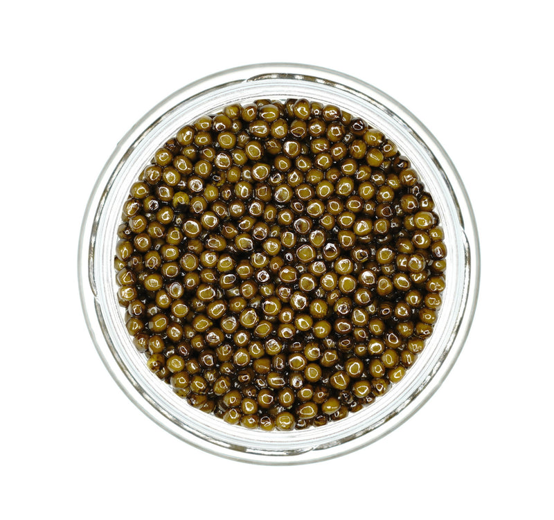 Imperial Kaluga Hybrid Caviar