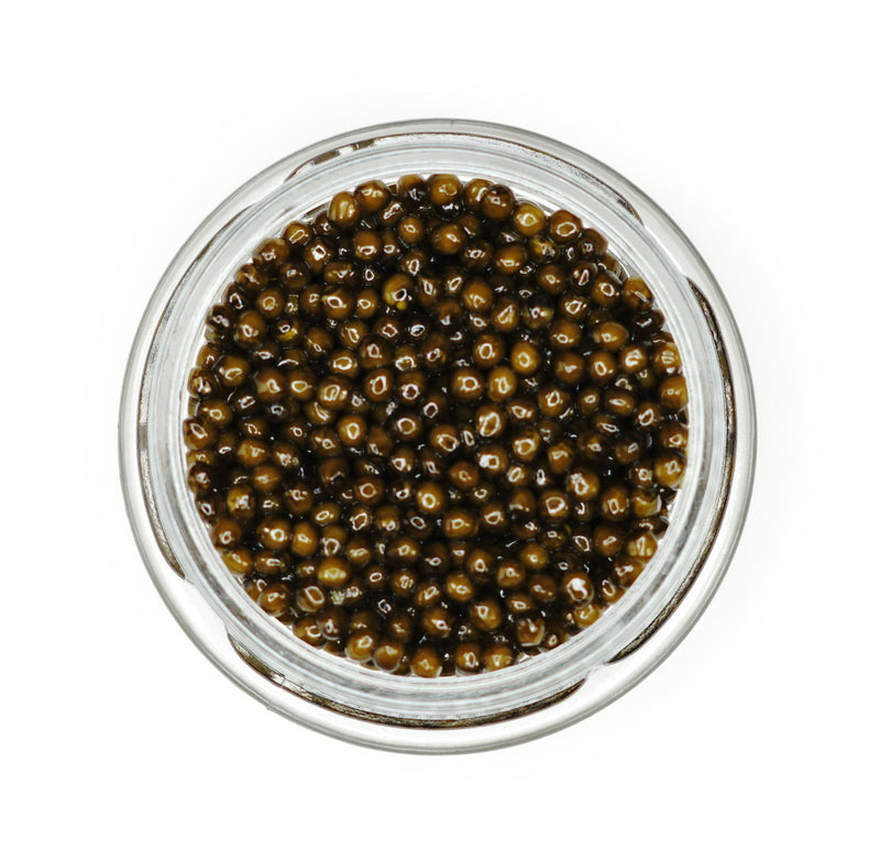 Premier Kaluga Hybrid Caviar