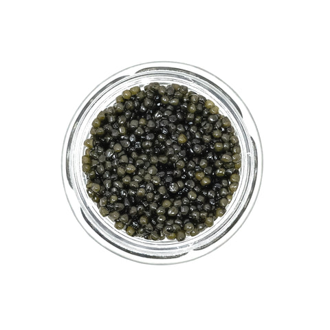 Karat Israeli Osetra Caviar