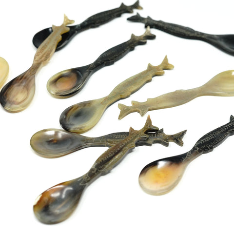 Sturgeon handle spoons made of horn on white background