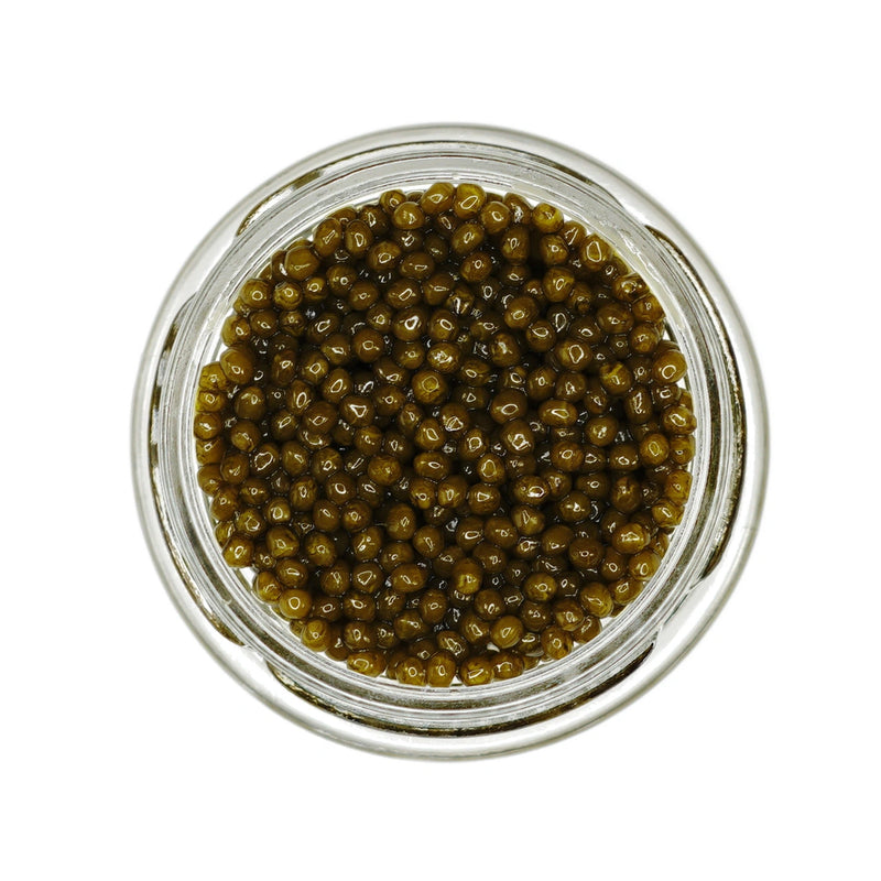 Golden Dynasty Imperial Osetra Caviar