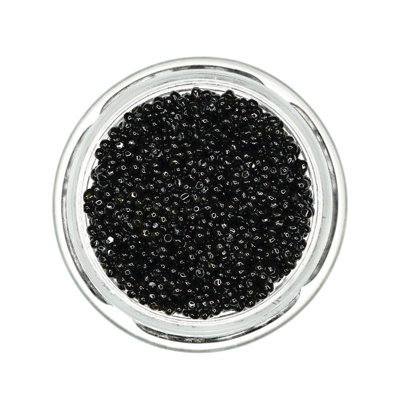 American Hackleback Sturgeon Caviar
