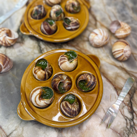 Prepared French Escargot in Shells