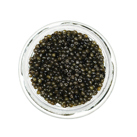 Dynasty Royal Osetra Caviar