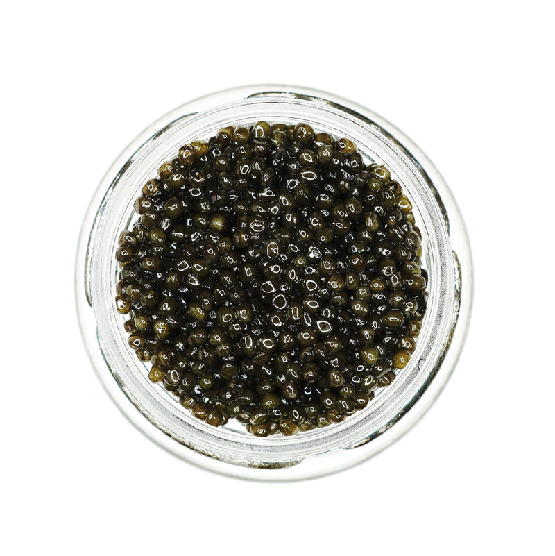 Dynasty Royal Osetra Caviar