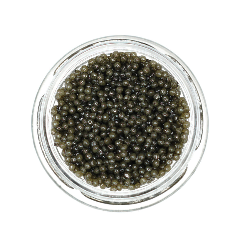 American Paddlefish Caviar