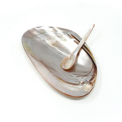 Pink Mother of Pearl Shell Plate Spoon SET