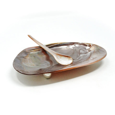 Pink Mother of Pearl Shell Plate Spoon SET