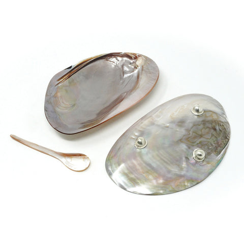 Pink Mother of Pearl Shell Plate Spoon SET