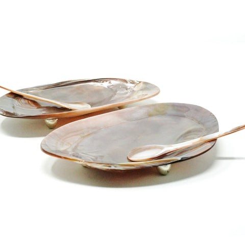 Pink Mother of Pearl Shell Plate Spoon SET