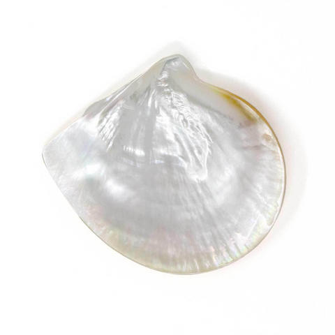 Mother of Pearl Shell Caviar Palette