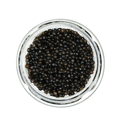 Lyna Polska Siberian Baerii Caviar