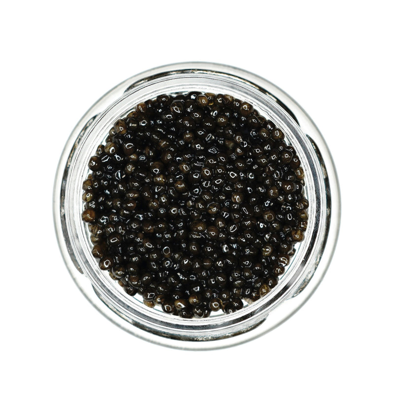 Lyna Polska Siberian Baerii Caviar