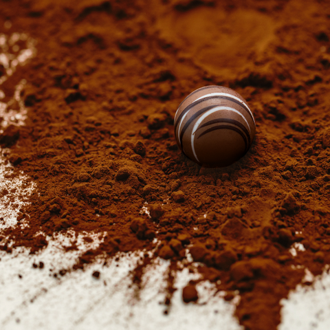 Norman Love 10 Piece Chocolate Holiday Gift Box