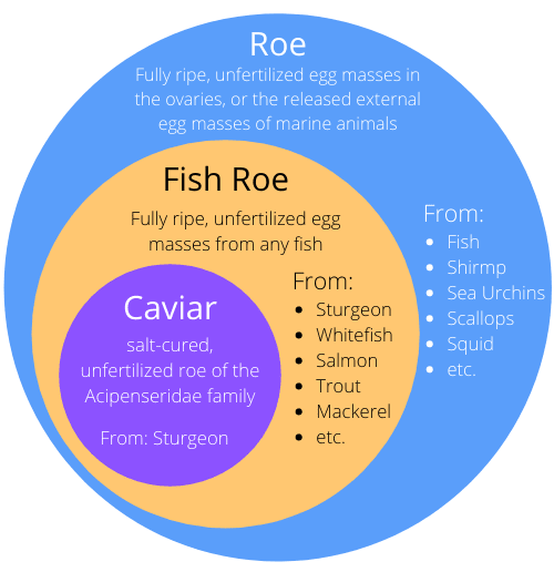 Caviar vs. Roe: What is the difference between roe and caviar? - Caviar Star