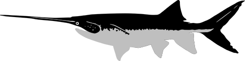 caviarstar-paddlefish-black3-small.jpg