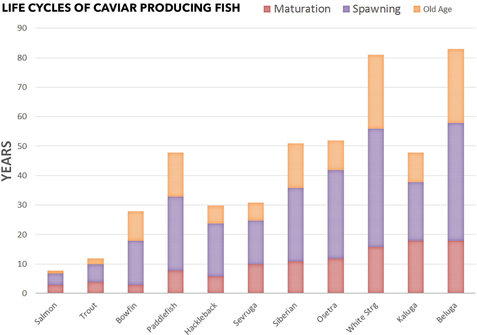 sturgeon caviar life cycles