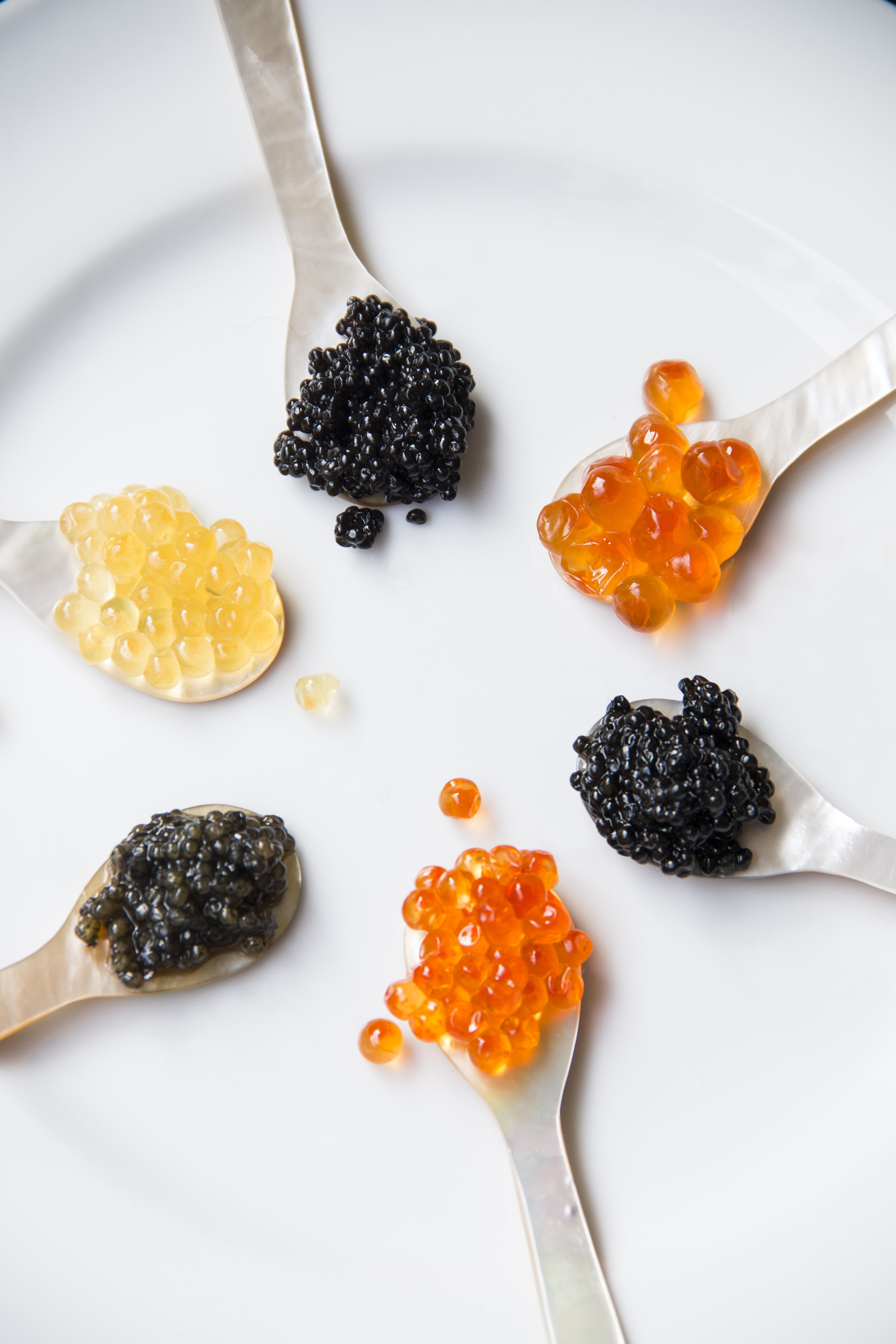 Caviar Vs Roe What Is The Difference Between Roe And Caviar Caviar Star