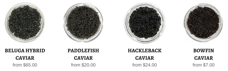 sustainable caviar in stock